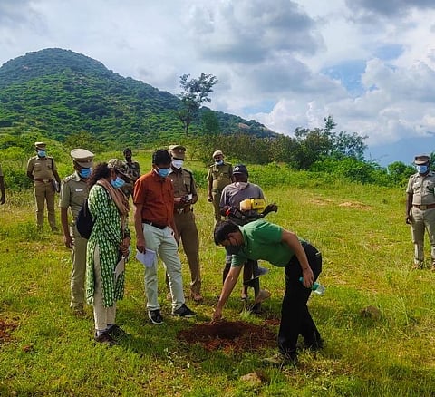 Farmers can get good profits by planting saplings such as Melia Dubia, Casuarina plant and teak trees etc.
