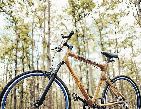 The Bambooka bicycle