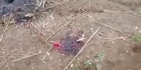 In this image from video taken Dec. 7, 2021, a bloodstain is seen on the ground near charred corpses in Done Taw village in the Sagaing region of Myanmar. (Photo | AP)