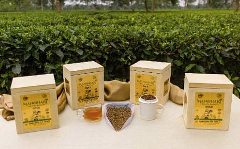 Manohari Gold Tea of Dibrugarh (Photo | Special arrangement)