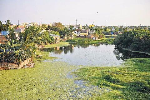 An encroached lake near Retteri Junction in Kolathur. (File photo| Debadatta Mallick, EPS)
