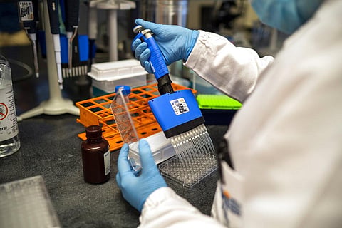 Scientists at the Africa Health Research Institute in Durban, South Africa, work on the omicron variant of the COVID-19 virus Wednesday Dec. 15, 2021. (Photo | AP)