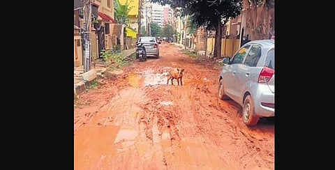 A slushy road in Kasavanahalli| Express