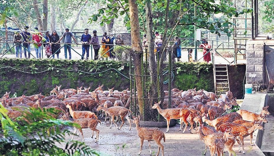 Centre forms sub-committee to streamline CSR funds in zoo management