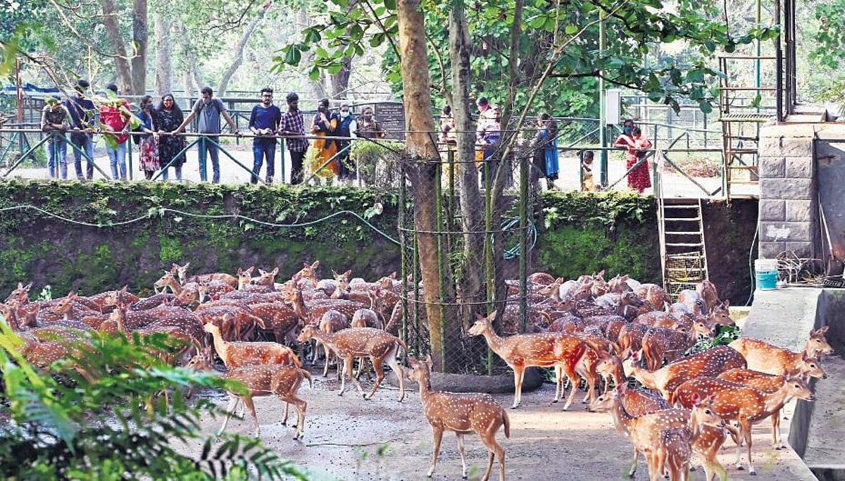 News 23 Centre forms sub-committee to streamline CSR funds in zoo management