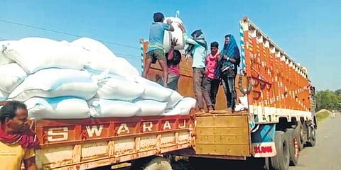 Traders and middlemen buy paddy from farmers in Balasore. (Photo | EPS)