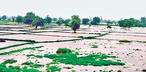 Global warming at doorstep, we need planning with climate lens 