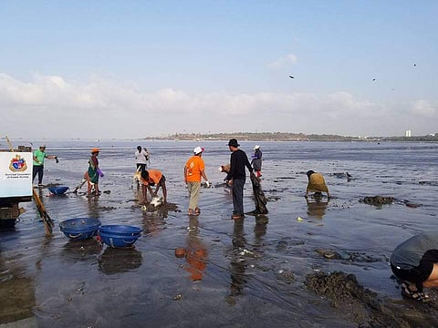 Citizen’s initiative to clean up over 50,000 tonnes of plastic waste off Versova beach. (File photo| EPS)