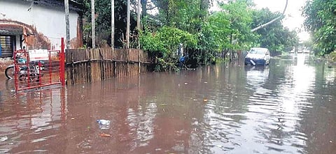 A waterlogged road in Paradip town on Sunday, Dec 6, 2021. (Photo | Express)