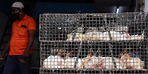 Image used for representational purpose. (File Photo | Debadatta Mallick, EPS)