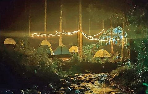 Image used for representational purposes.