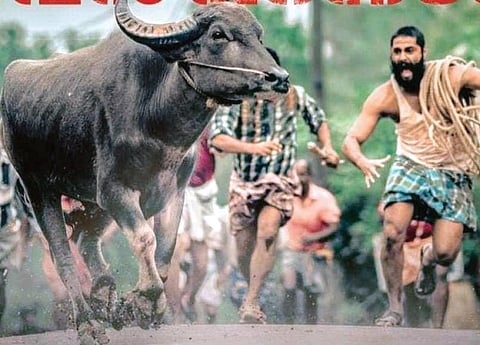 Malayalam film 'Jallikattu', directed by Lijo Jose Pellissery was India's official entry in the Best International Feature Film category at the 93rd Academy Awards. However, the critically-acclaimed movie has failed to make it to the list of 15 movies tha