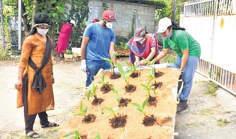 Volunteers studying floating  wetland system