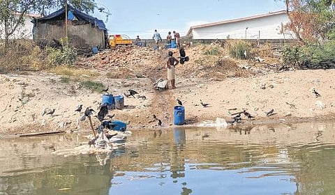 Workers of an illegal slaughter waste collection centre cleaning the carcasses of livestock in Parvathy Puthanar near Nehru Jn at Puthenpally | shainu mohan