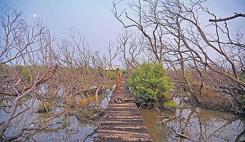 Image used for representation.