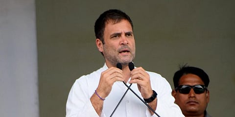 Congress MP Rahul Gandhi (Photo | EPS)