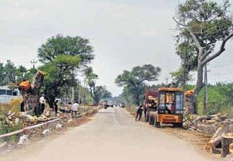 3,455 trees go under axe to widen Chikkamagaluru highway