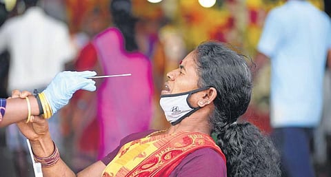 A healthcare worker collects samples from a woman at Koyambedu Flower Market in Chennai on Friday | R Satish Babu