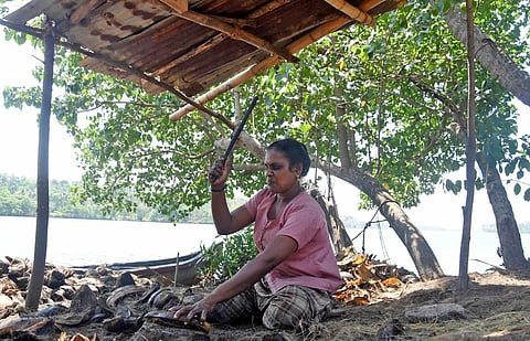 Laila, a coir worker, engaged in dehusking on the banks of Paravur lake at Kottappuram  in Kollam. (Photo | B P Deepu, EPS)