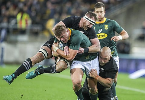 South Africa's Malcolm Marx is tackled by New Zealand's Kieran Read and Owen Franks, during a Rugby Championship Match between South Africa and New Zealand in Wellington, New Zealand. (File  | AP)