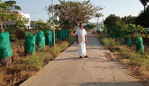 Velupillai has been growing more than 400 trees in four villages near Lalgudi Taluk in Tiruchy  for over 15 years. (Photo | Express)