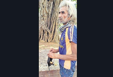 David Mohammad attending to a bat in Gandhi Park | Express