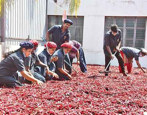 Every day. the employees sort, roast and grind the spices and mix them according to a proportion for their unique taste | Express