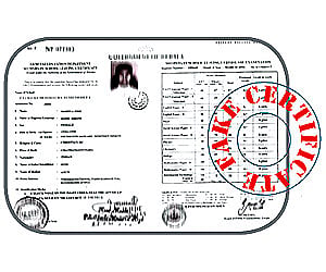 Fake certificate
(Representative Image) 