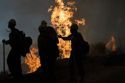 The North Dakota Forest Service has tracked than 140 wildfires that have burned over 46 square miles (120 square kilometers) in total. (Representational Photo | AP)