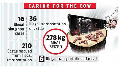 Anti-cow slaughter Act: 58 FIRs filed in 60 days in Karnataka