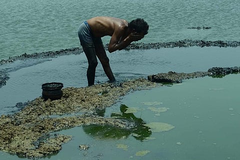 File photo of a  fisherman washing his face in the sewage-mixed waters of Korattur lake in Chennai. (Photo | P Jawahar, EPS)