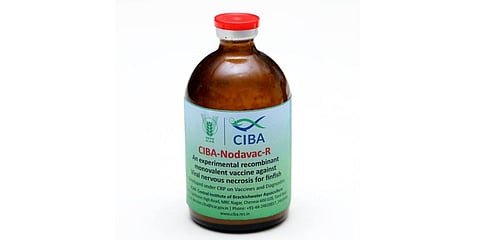 The vaccine was developed under the consortium research platform on vaccines and diagnostics. (Photo | Special Arrangement)