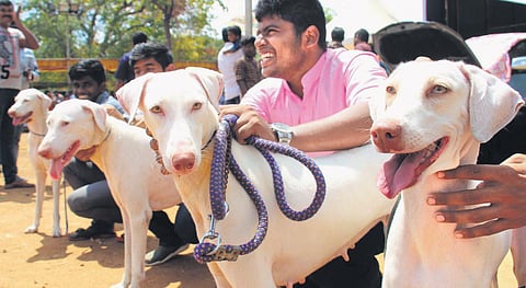 Picture for representation