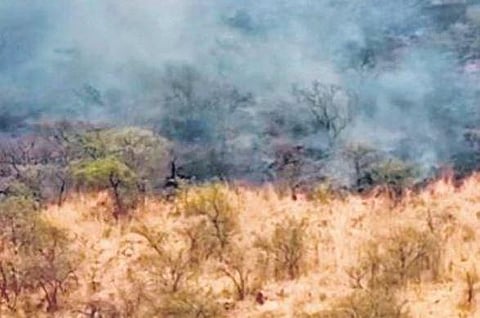 A portion of Kappatagudda range that caught fire on Sunday | Express