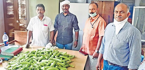 Headmasters and teachers joined hands to start farming in 3-acre space of school to help poor families in and around Edamuri (Pathanamthitta)