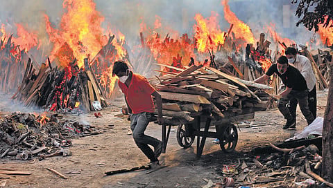 Volunteers carry wood for cremation of Covid-19 victims as funeral pyres burn in the background