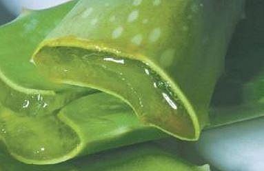 Go natural to treat Hemorrhoids 