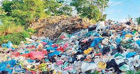Bio-medical waste dumped on Mahanadi river bed  | Express