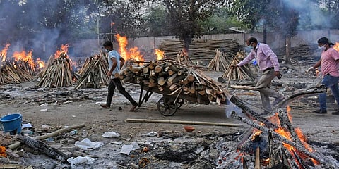 Crematorium operators are now under pressure to secure adequate firewood, often at higher costs, leading to increased operational expenses.
