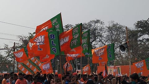 BJP Flags 