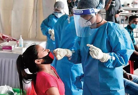 Covid testing (File Photo)