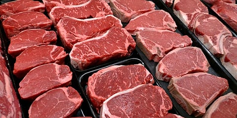 USDA forecasts that beef production will increase to 4.64 million metric tons (MMT), up from 4.57 MMT in 2024, and exports will increase to 1.64 MMT from 1.56 MMT last year.