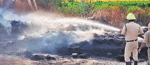  Fire safety officials douse flames that engulfed two fields after farmers burnt stubble for cultivation of next crop.