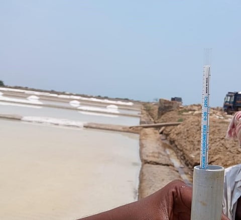 Thoothukudi's famous salt fields. (Photo | EPS)