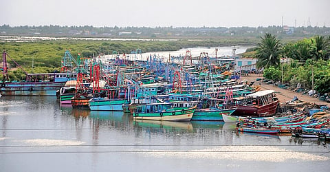 A view of the berthed fishing boats at the Nagapattinam fishing harbour | Express