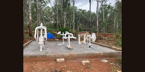 Locals upset with gym equipment in tree park