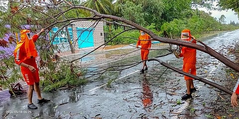 NDRF personnel clear a fallen tree from a road as they carry out restoration works following the landfall process of Cyclone Tauktae, in Valsad, Gujarat. (File Photo | PTI)
