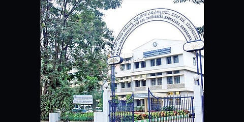 Rajiv Gandhi University of Health Sciences