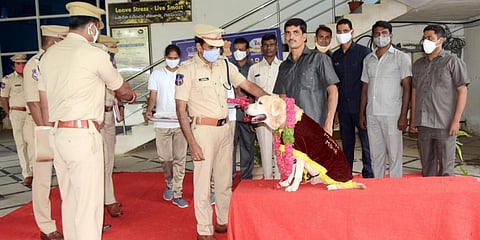 Mahbubnagar SP R Venkateswarlu felicitates Munna, a police dog, which retired from service on Thursday. (Photo| EPS)