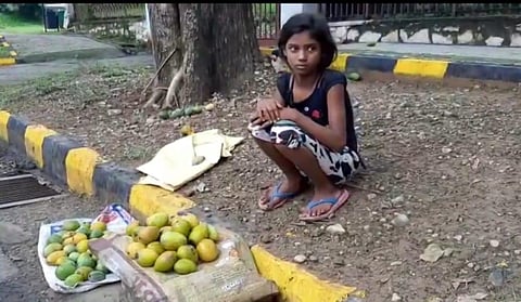11-year-old Tulsi Kumari resorted to selling mangoes to fund her online education. (Photo | Express)